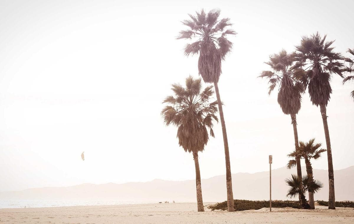 Industries and Use Cases