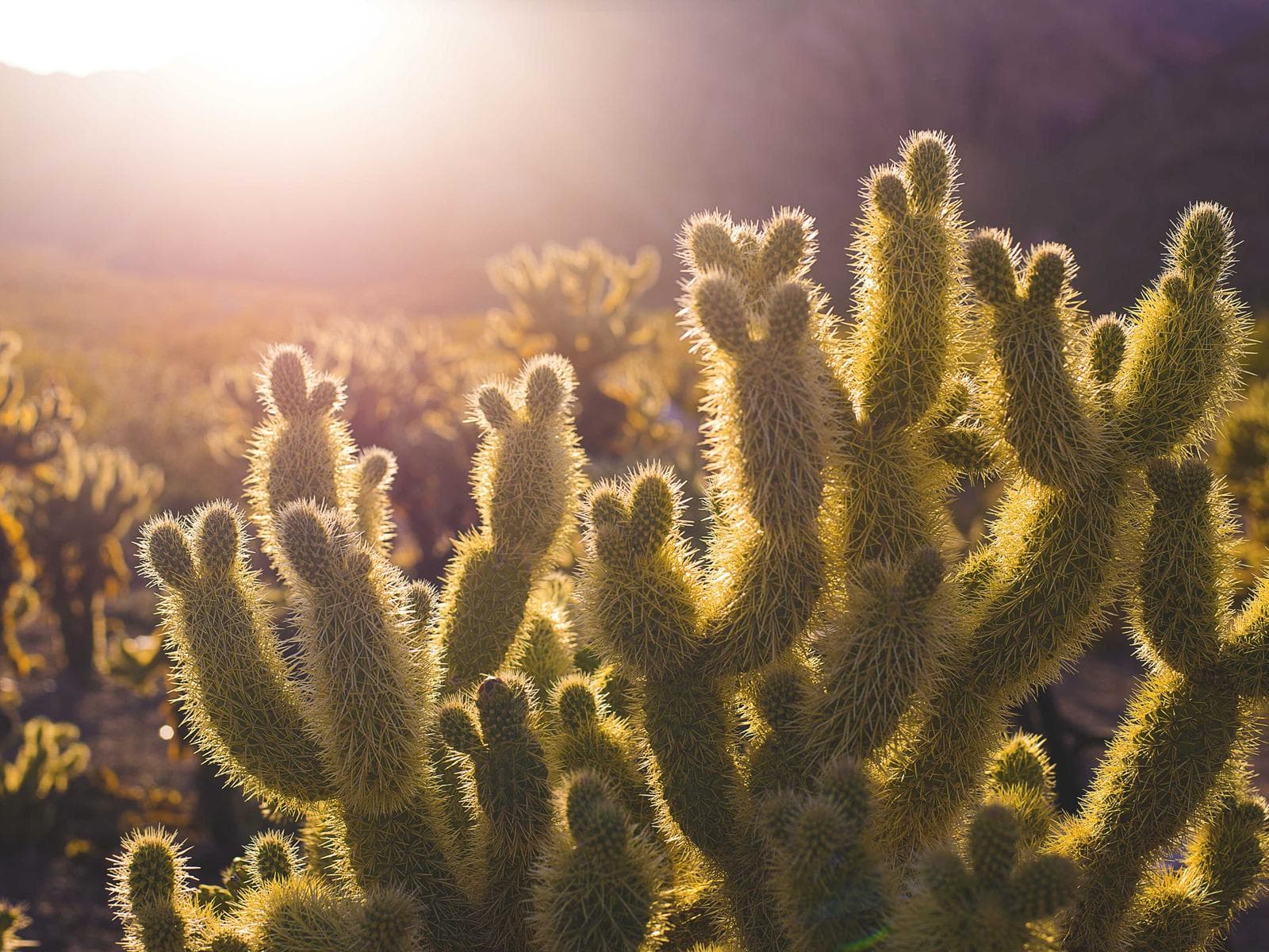 Manufacturing operations workspace