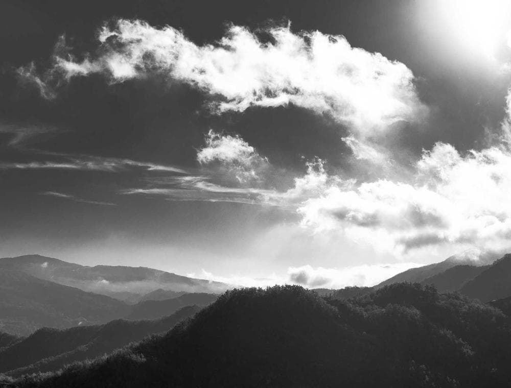 Terms and governance